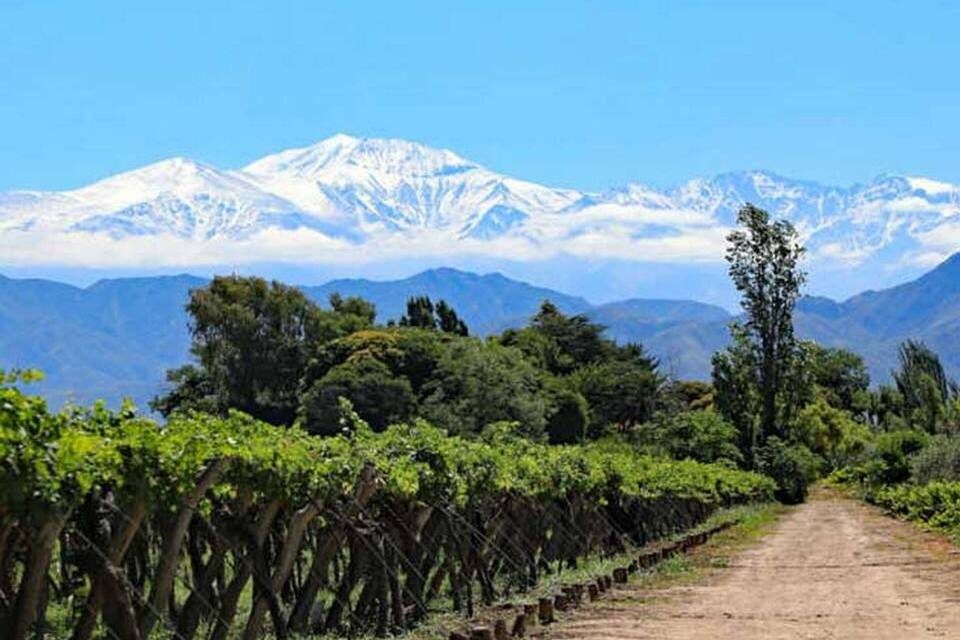 ��������� ���������: ������������� ����������� �� ����