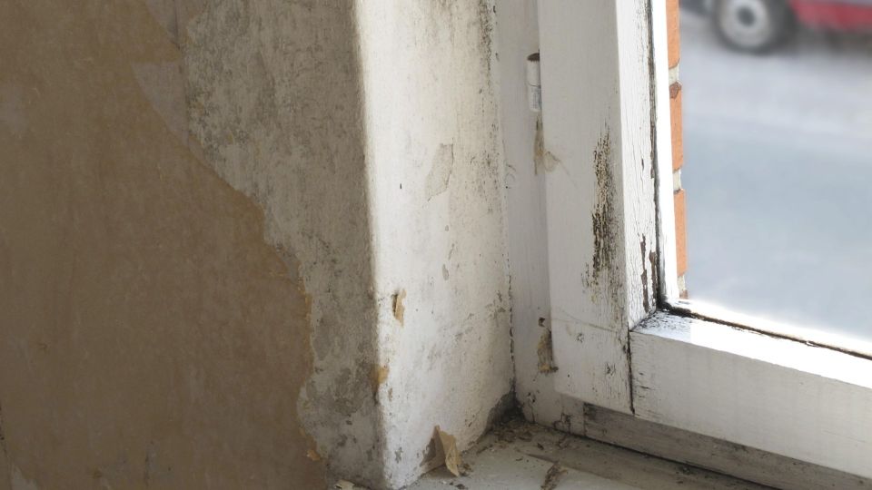 ������� ����� ���� ������ ����� ��������: ����� ��� ��������� ������� � �����