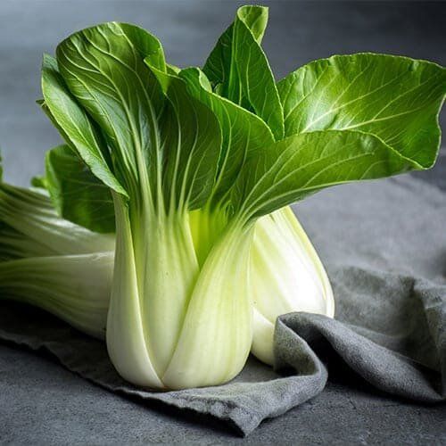 ���-���: ��������� ���� � ������ ��������