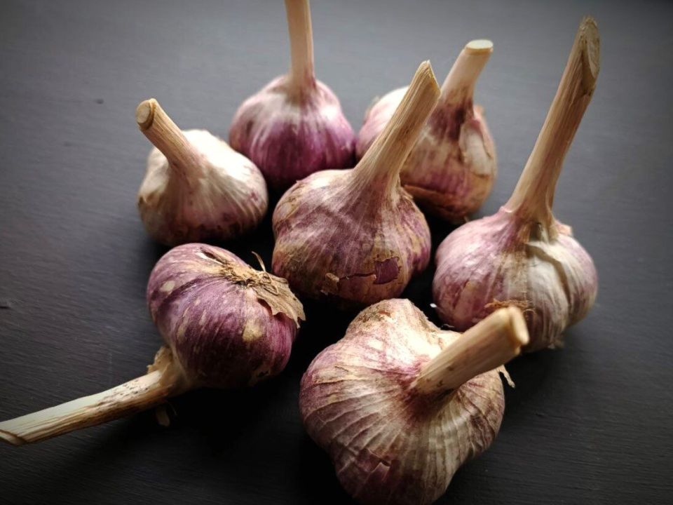 ������� �������� ������� ������� ������� � ���� ������