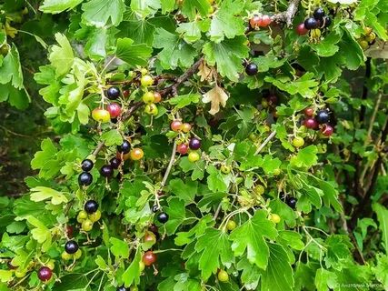 �����: ������������ ����� ��� ������ �������