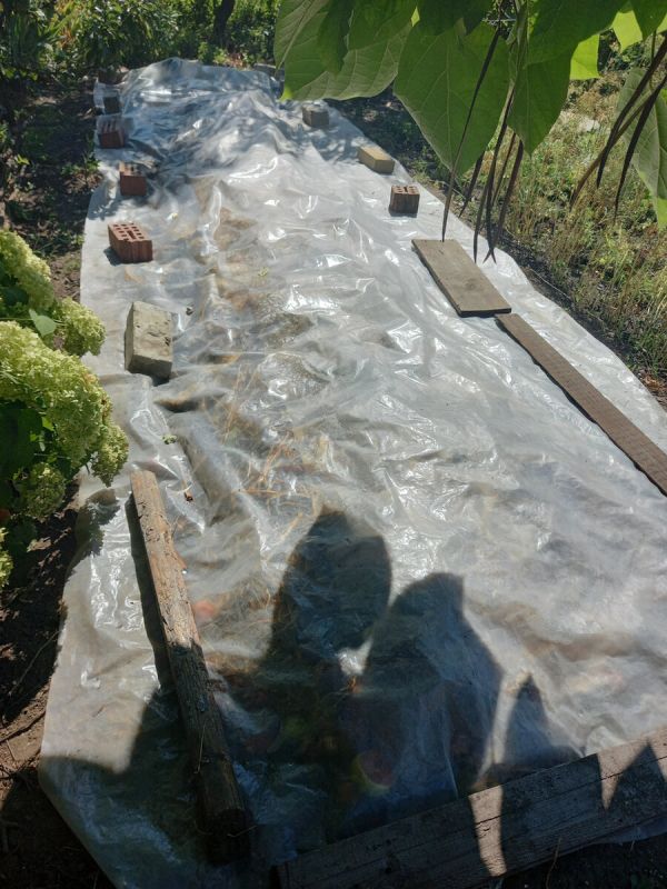 ������� �� ������: ��� ����� �������� ������������ ��������� ��� ������ ������