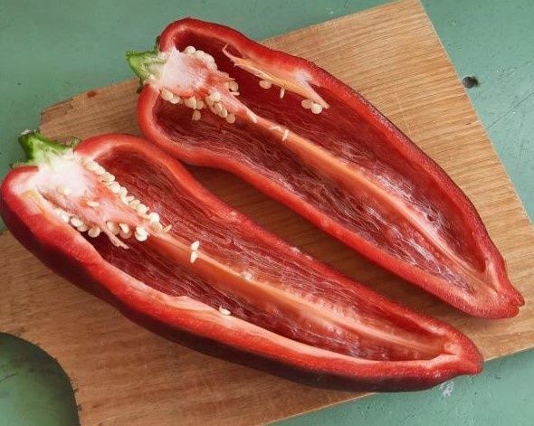 ����� ������ �����: �� ������� �� ����