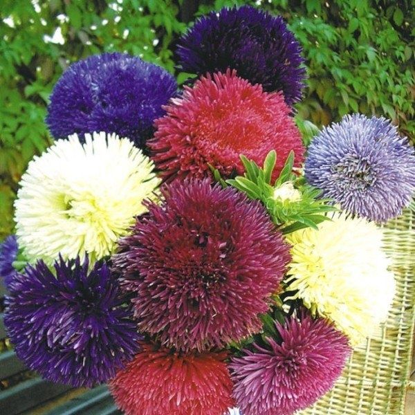 ���������� �����: ��� ��������� ���� ����� ������ � ��������� �� ���