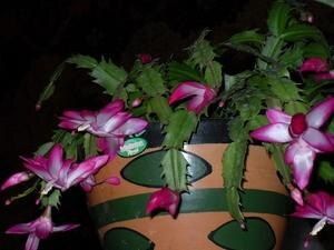 �������, �� ������� � ���������� ������� ������ � �� �� ������