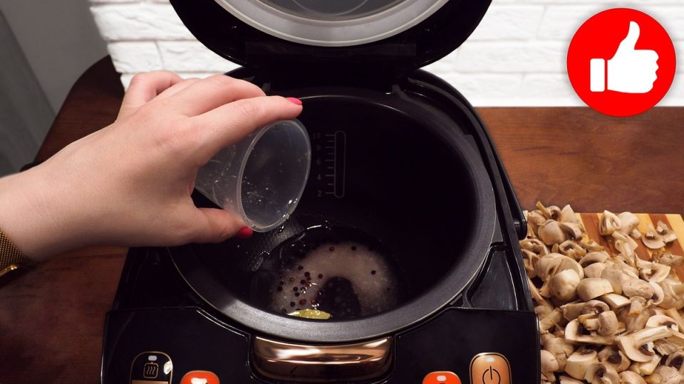 ����� ������������ ����������: ������ � ������