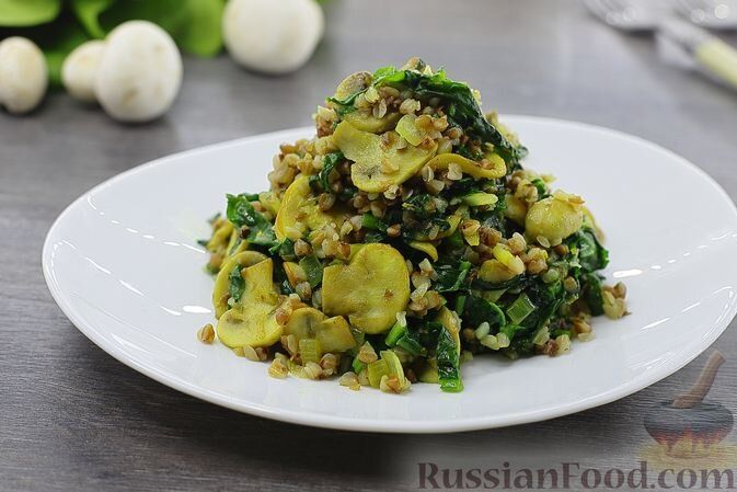 ����� ���� ��� �������� �����: 4 ������������ ������� � �������