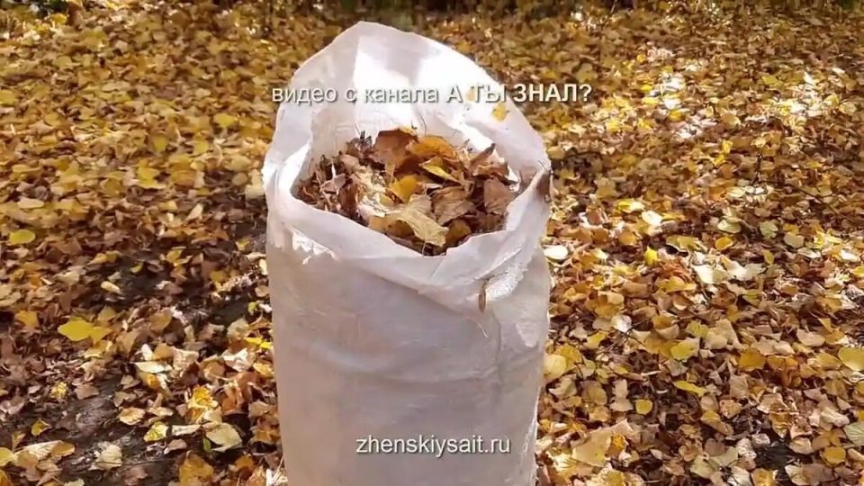 Как из листьев сделать компост в мешках