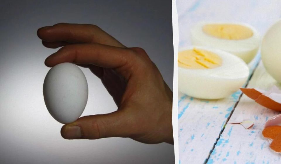 ������� ������: ������� � ������� ��������� ��� �������