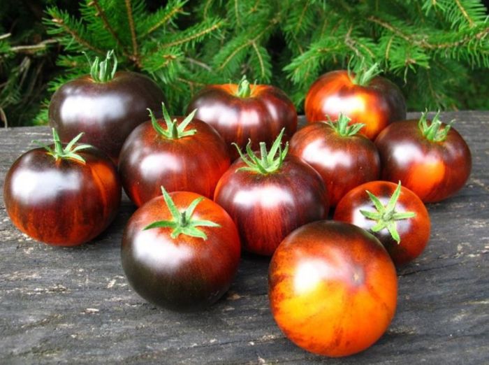 ����� ������: ������������ ����� � ������������ ������ � ������� ������