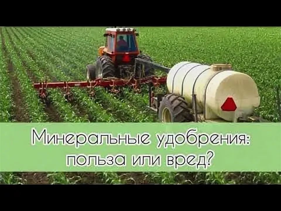 ����������� ���������: ��� ������� ����� ������� � ������ ��� ����