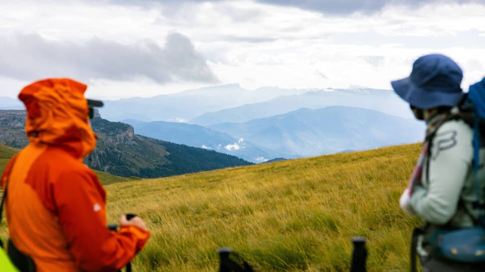 ��������� �������� ������������ �� ��������� 2036 ����