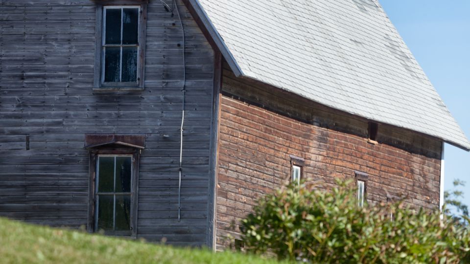 ������ ���������� ���� � ����������� �����������