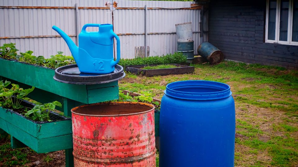 ��� �� ��� ��� ��������� �������� ������� ������ � �������� ���� �������� ������