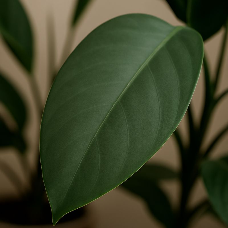 ������ ������ ���������� �������� � ��� ��� ������ ��� ��������