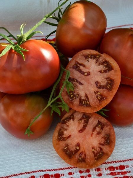 Томат Амазонка шоколадная: цвет и вкус крупного плода в одном кусте