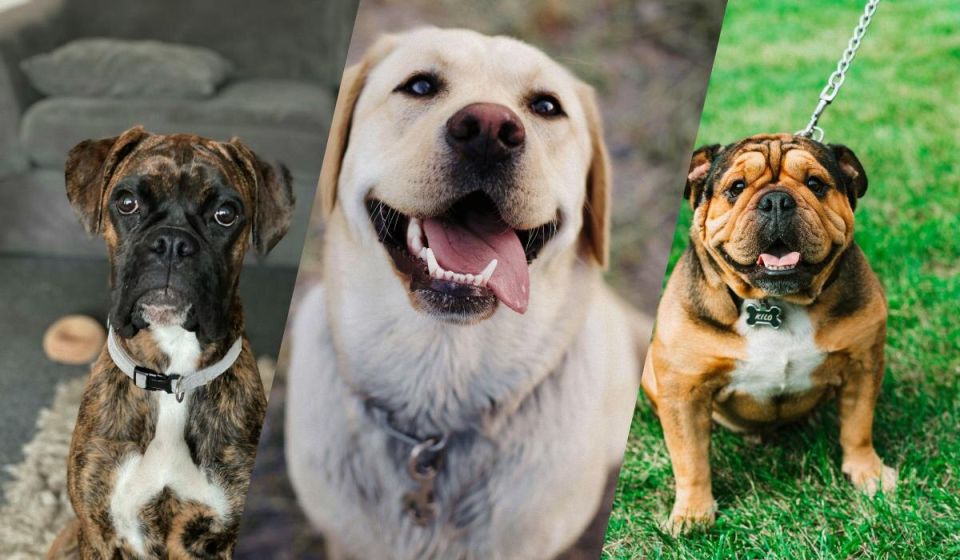 ��������� ������: ������ ��������� ������ ��������� ������