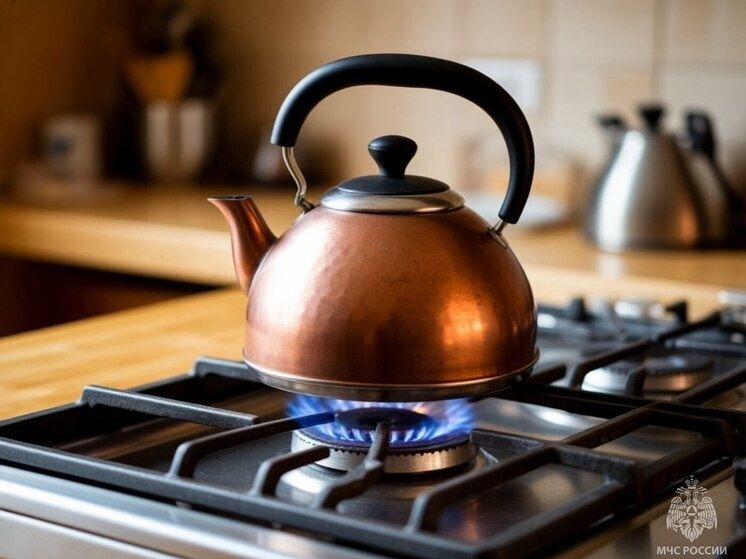 Как сохранить спокойствие при запахе газа и неисправности плиты