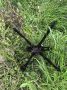      FPV-