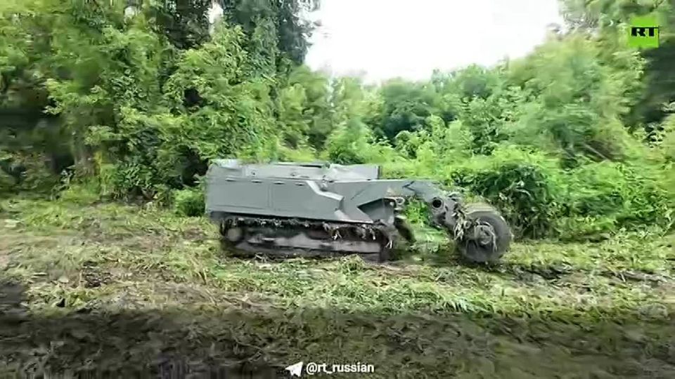  :    :