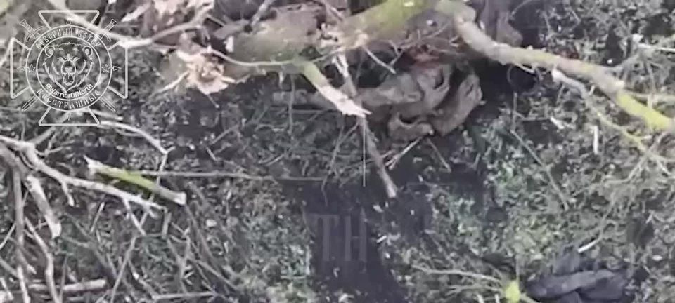   ,  ,   