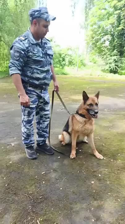     ,     ,    