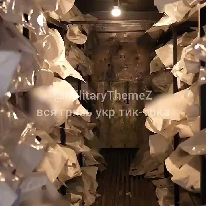    ,          -     25 