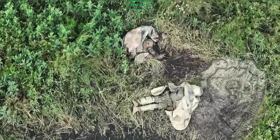   .  ,  