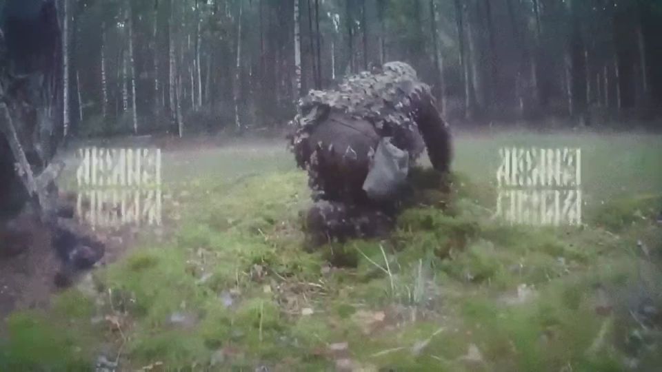  :   ,       -    