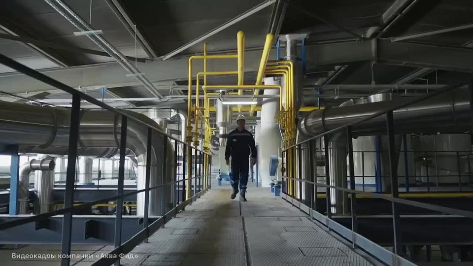      :       