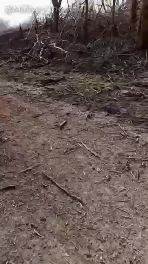 &quot;   , ..&quot;.              