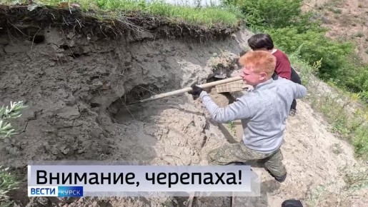 11111    &quot;-&quot;      :