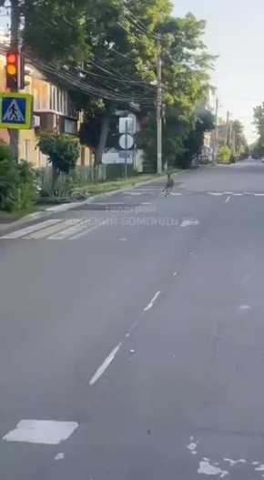   -     