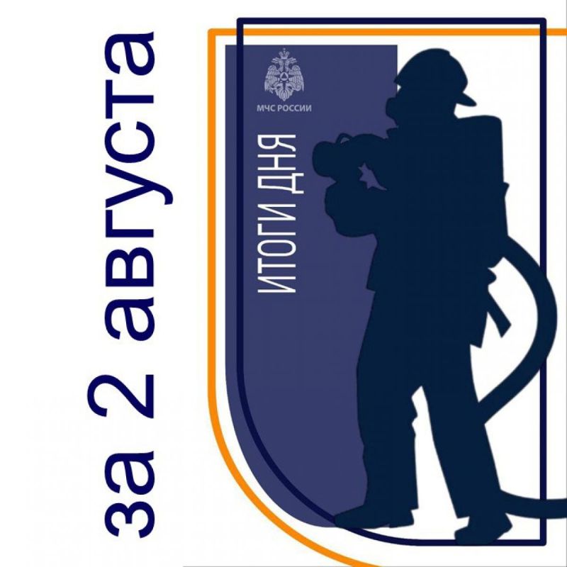 17    -   