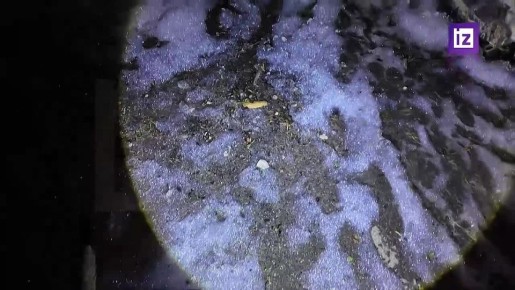             &quot;&quot;
