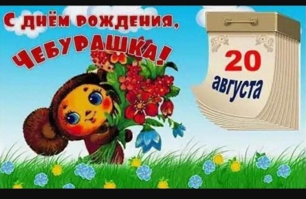 20  -   