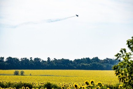          F-16