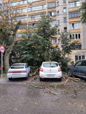      , 40