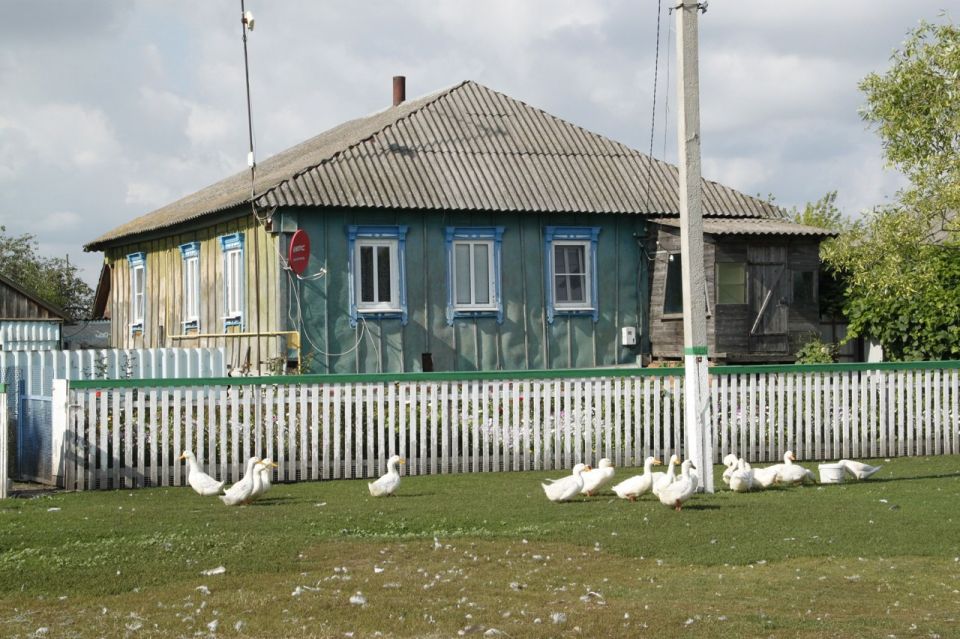         , , , ,      