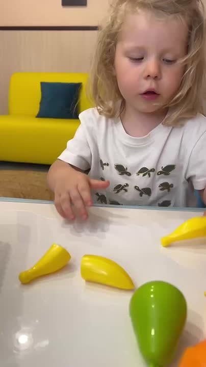  :   ,       
