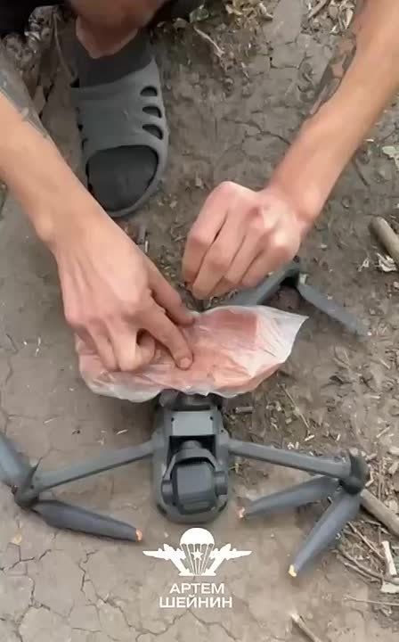  : ,        ,       ,         -  ...