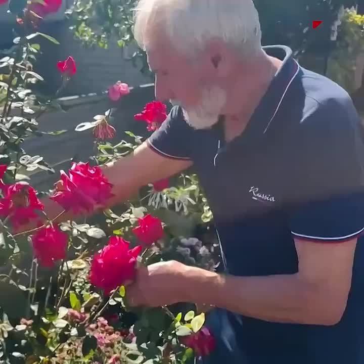    .          