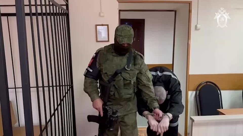  ,       ,      