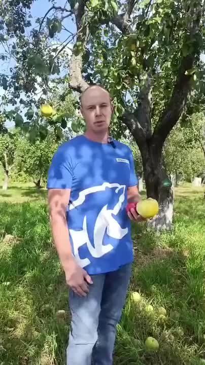        40 