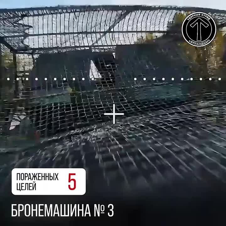 ,  ,   !