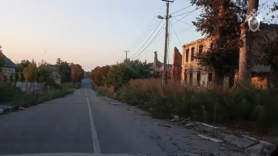  ,       ,      