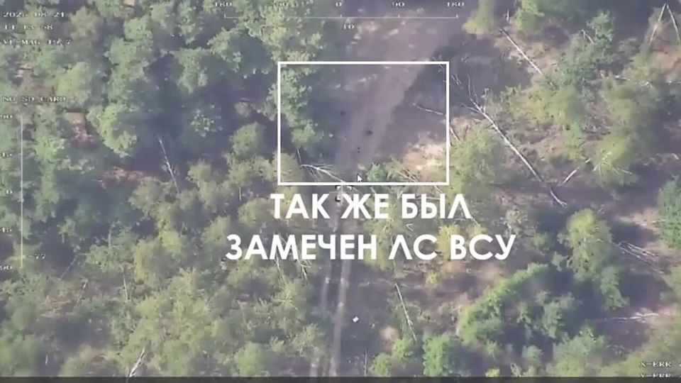    &quot;&quot;+ FPV