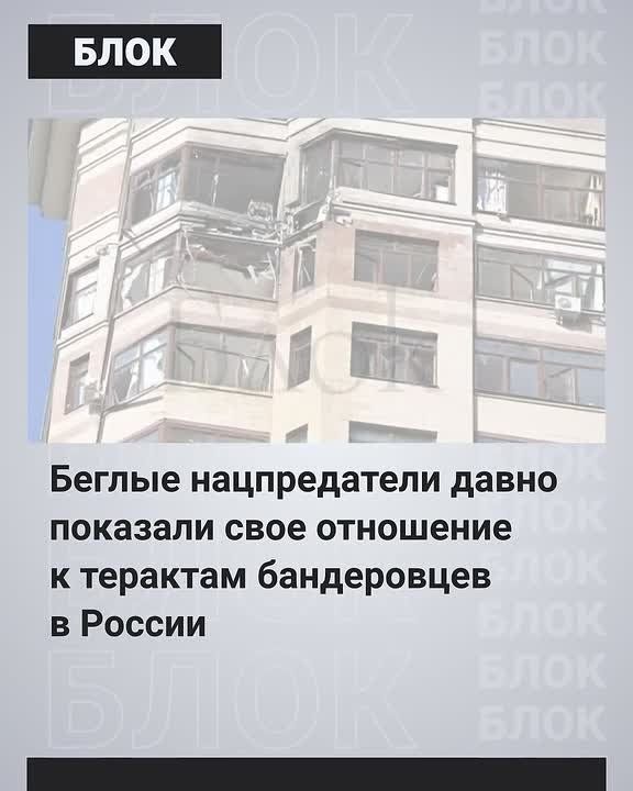 «Неизбежное наказание». Ларина* считает, что «нормальные люди» не осуждают атаки украинских БПЛА по Москве