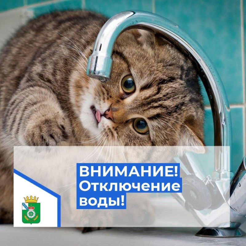 !         ,   -     .      ...