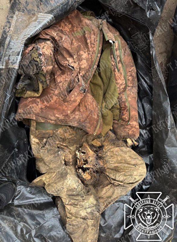 В курском приграничье продолжается рутинная работа по сбору останков солдат и офицеров ВСУ, которые здесь лежат еще с зимы-весны 2024-2025 года